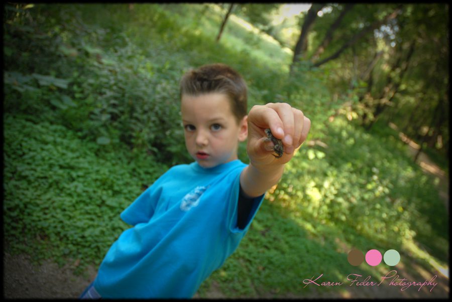 meyer 2 meyer 2