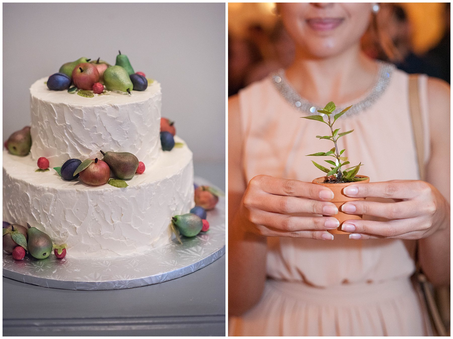 Chicago wedding Photographer